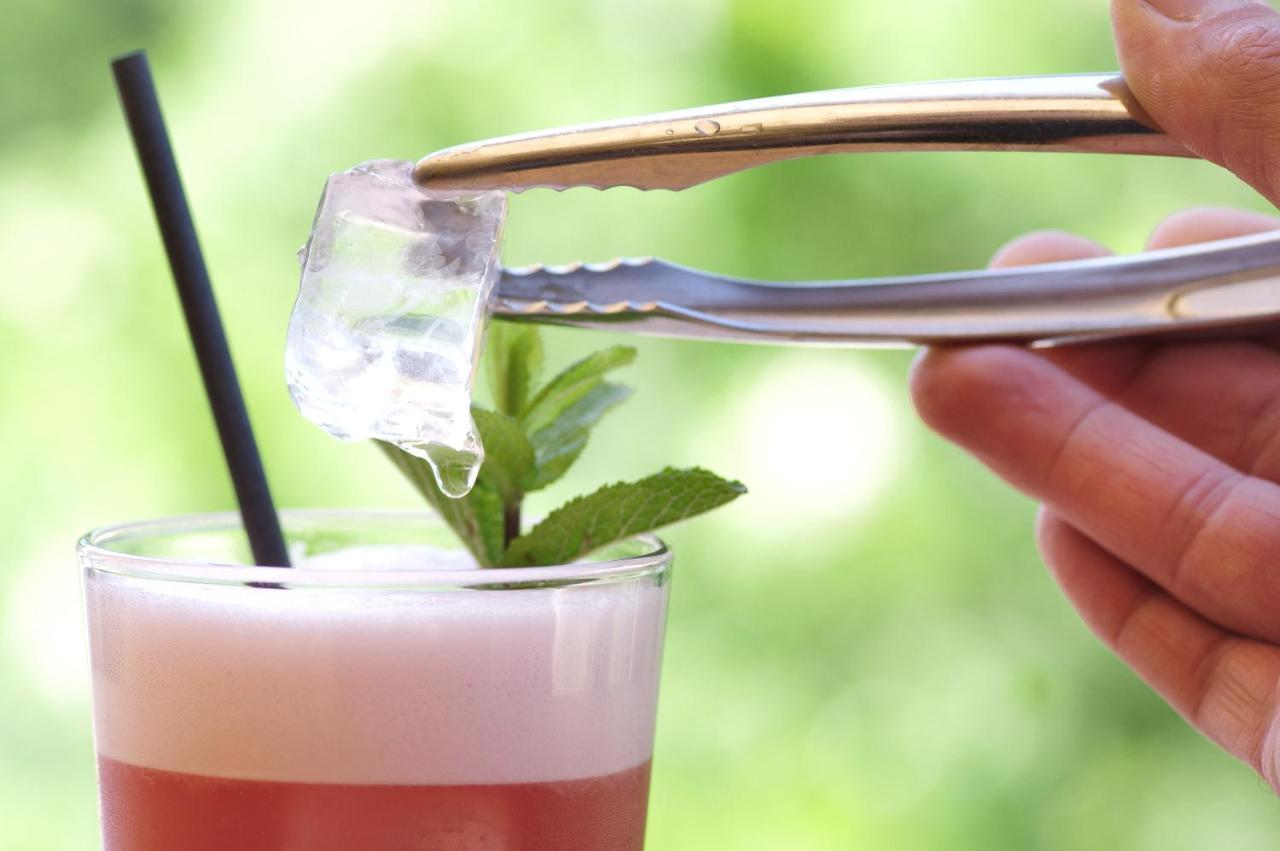 Domaine Du Ferret Restaurant & Spa Lege-Cap-Ferret Ngoại thất bức ảnh